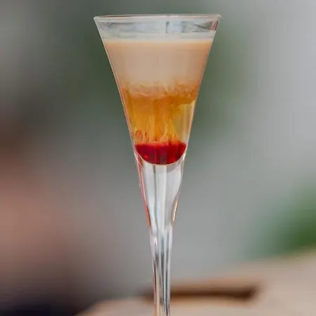 康克狄亚酒店 特罗吉尔