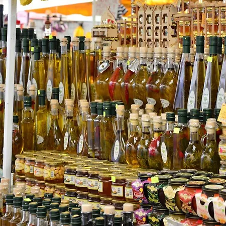 酒店 康克狄亚酒店