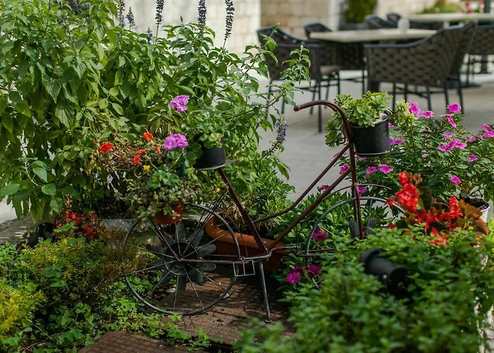 康克狄亚酒店 酒店