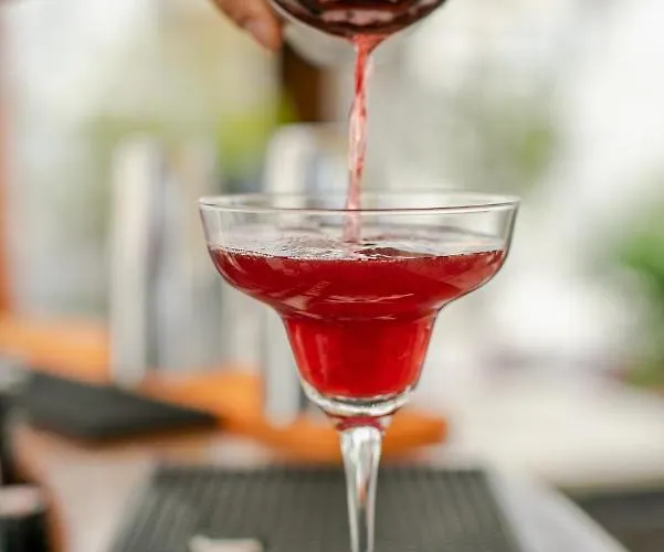 Concordia 2* טרוגיר