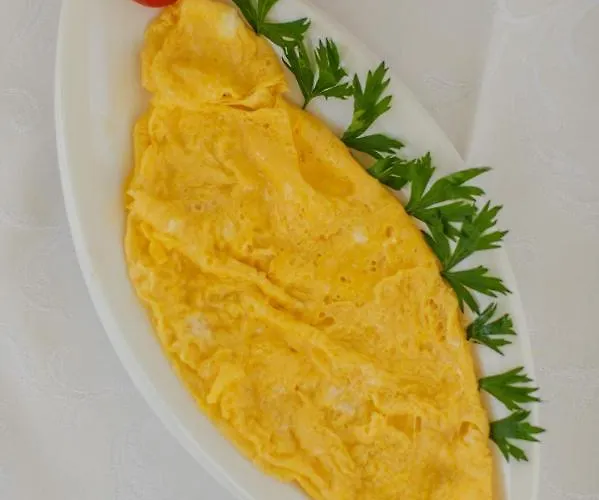 康克狄亚酒店 酒店 特罗吉尔