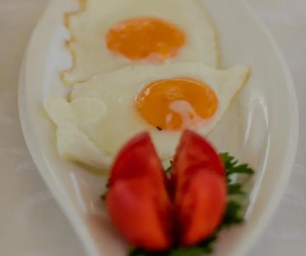 康克狄亚酒店 酒店