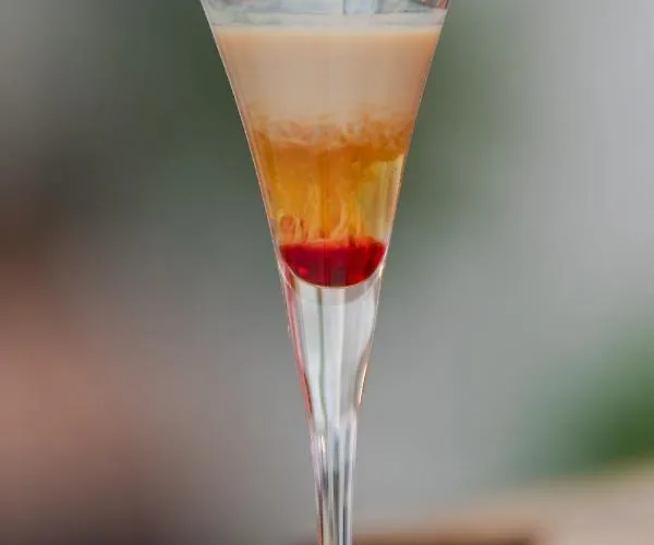 康克狄亚酒店 特罗吉尔